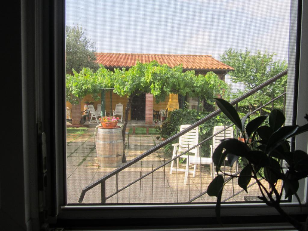 Agriturismo La Carlina Vila Magliano in Toscana Exterior foto