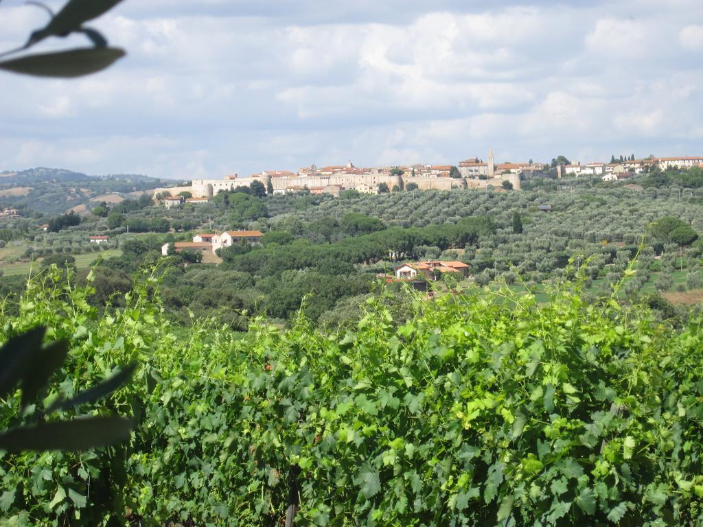 Agriturismo La Carlina Vila Magliano in Toscana Exterior foto