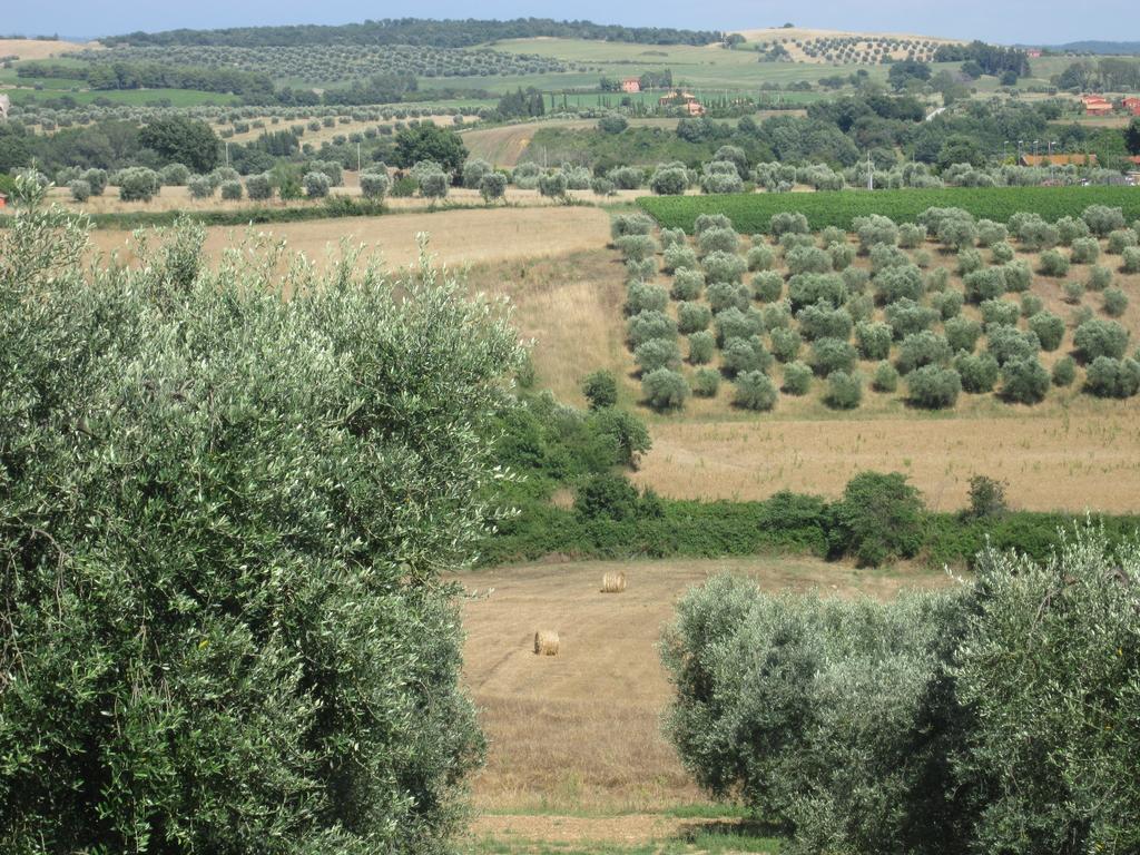 Agriturismo La Carlina Vila Magliano in Toscana Exterior foto