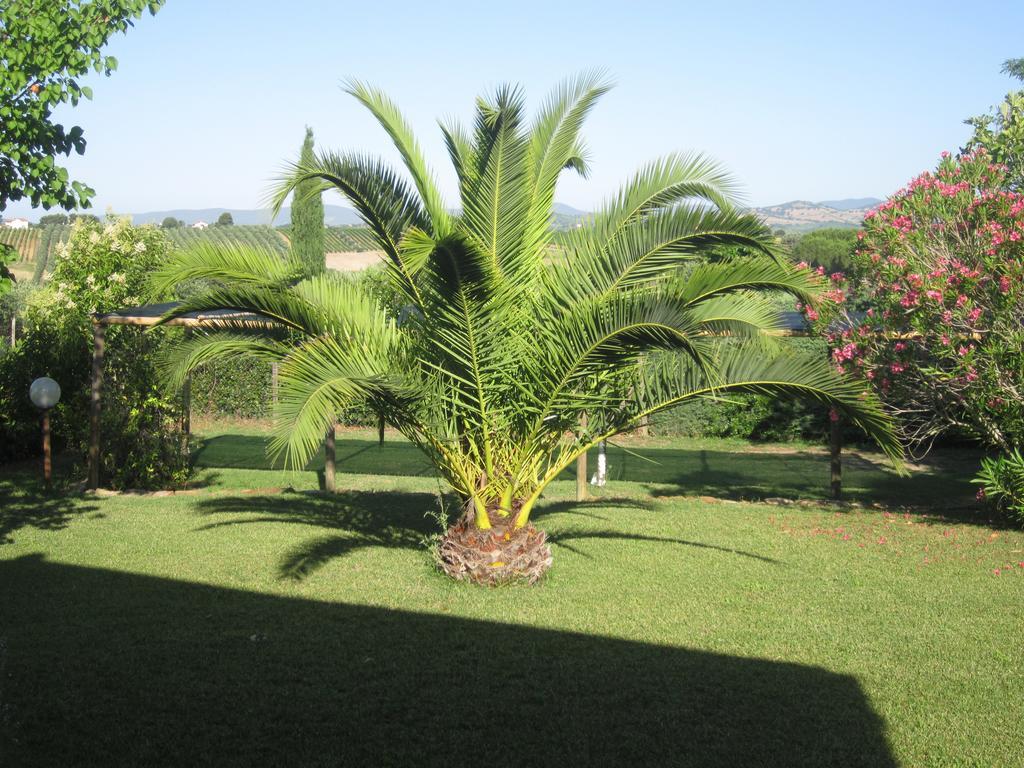 Agriturismo La Carlina Vila Magliano in Toscana Exterior foto