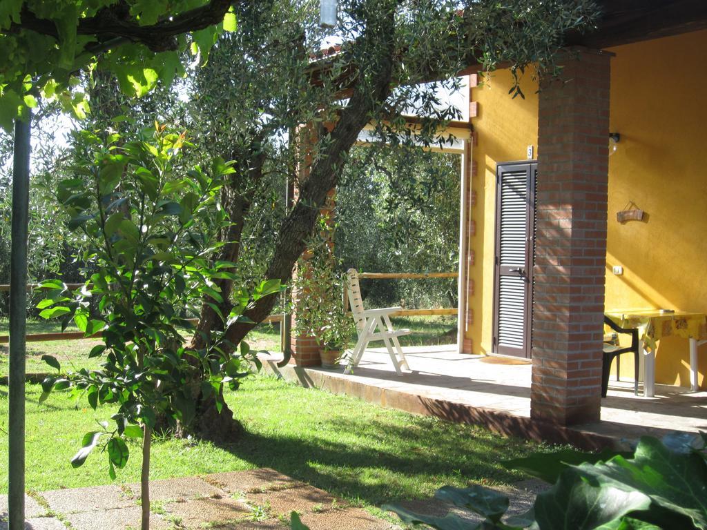 Agriturismo La Carlina Vila Magliano in Toscana Quarto foto